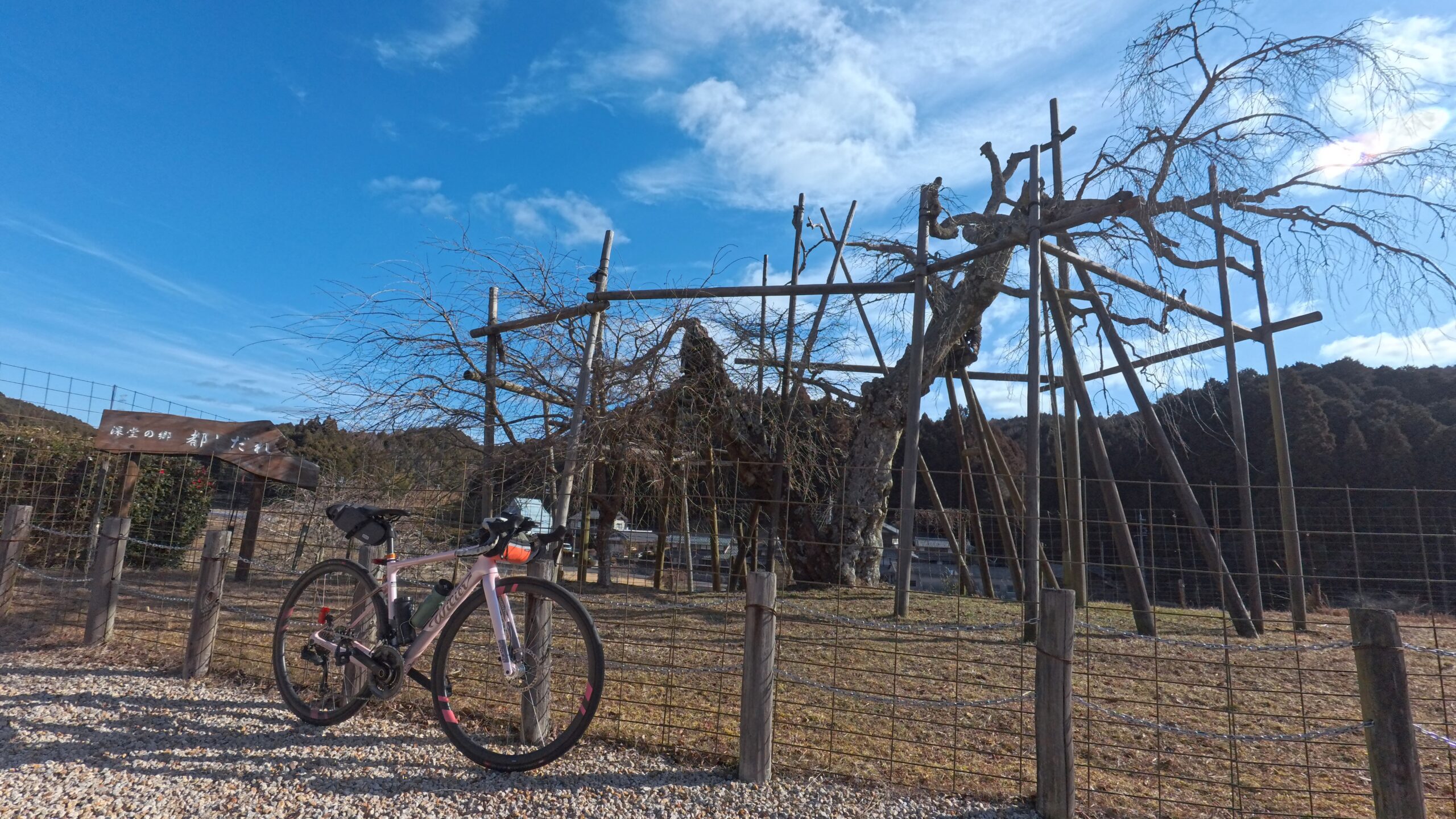 2026年3月のUNBOUND